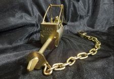 Click to enlarge image coon-shackle-side.jpg